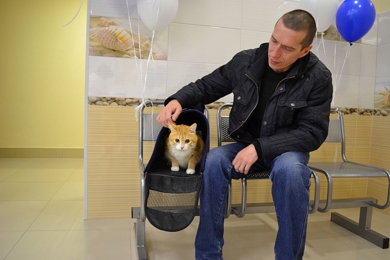 В Тюмени открылся второй филиал городской ветеринарной лечебницы