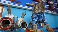 Пушистый МЧСовец. Тюменский кот Сема рассказывает о жизни в пожарной части