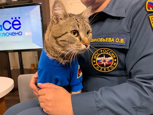 Пушистый МЧСовец. Тюменский кот Сема рассказывает о жизни в пожарной части