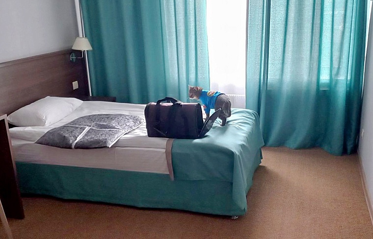 Пушистый МЧСовец. Тюменский кот Сема рассказывает о жизни в пожарной части