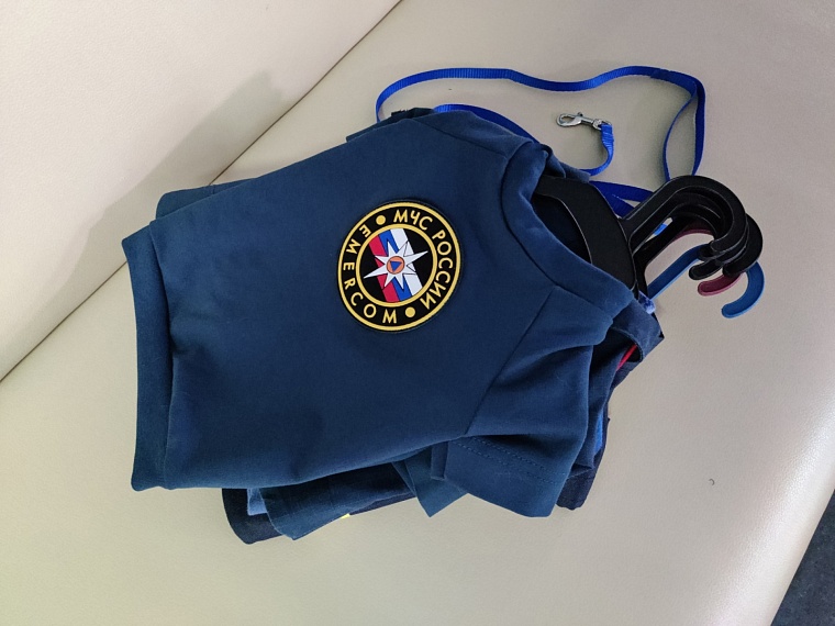 Пушистый МЧСовец. Тюменский кот Сема рассказывает о жизни в пожарной части