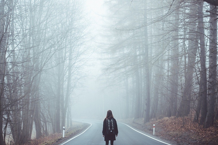 Фото: Pixabay 