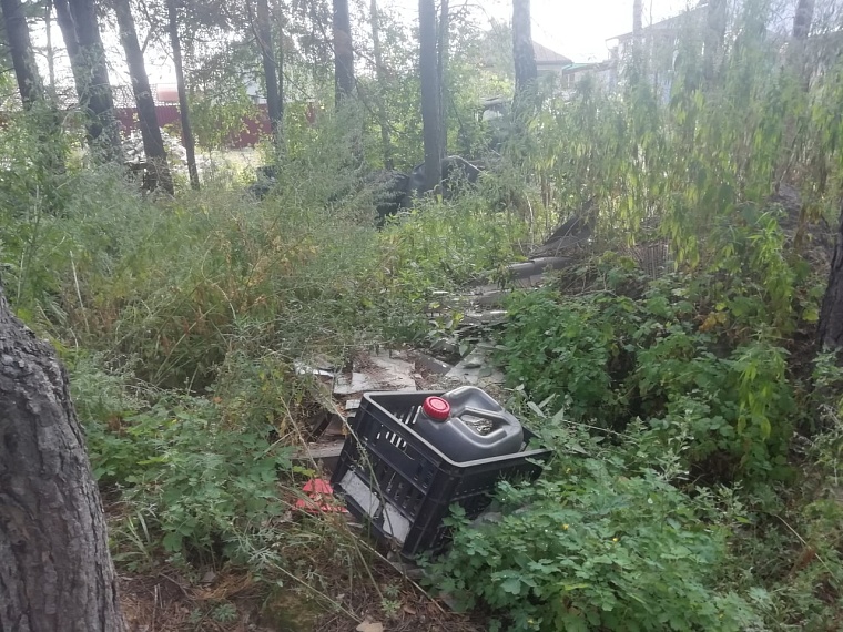 Несанкционированную свалку обнаружили в Тюменском лесничестве