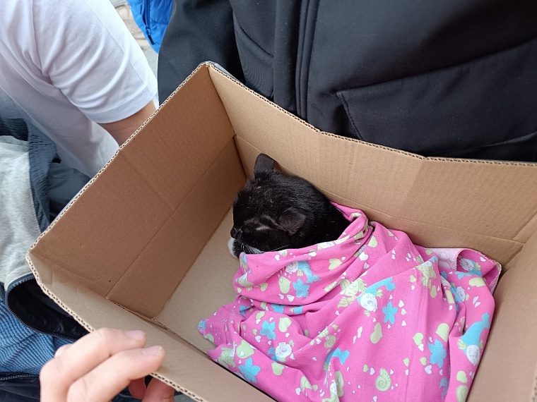 Тюменской многодетной семье, оставшейся без жилья после пожара, подарили две квартиры