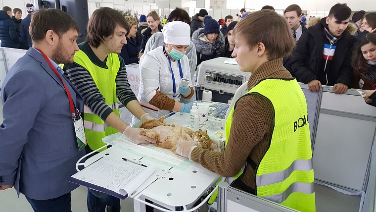 Эксперты WorldSkills: Этот чемпионат для участников – шаг в будущее