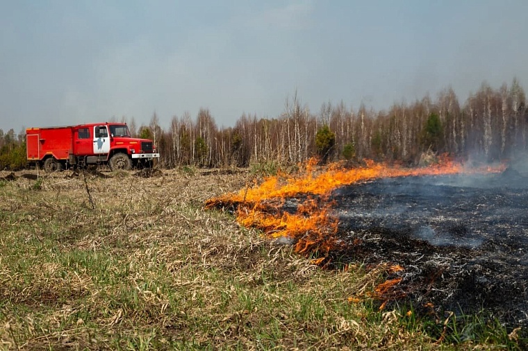 Фото: Вслух.ру