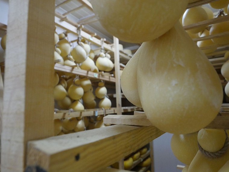 Как в Тюмени варят сыр: испытано на себе