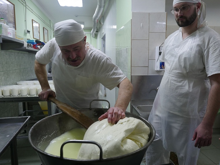 Как в Тюмени варят сыр: испытано на себе