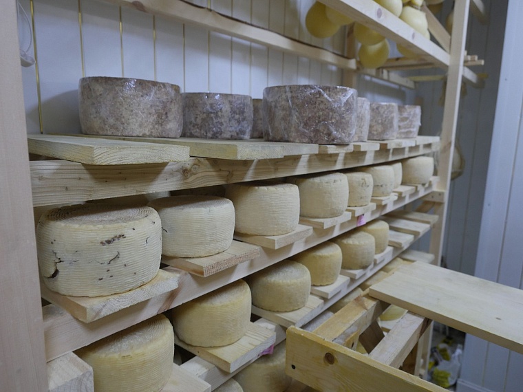 Как в Тюмени варят сыр: испытано на себе