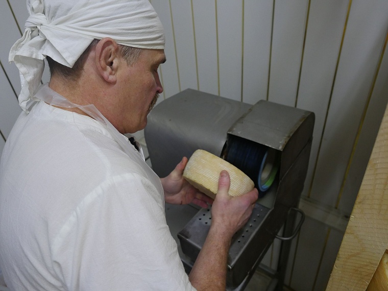 Как в Тюмени варят сыр: испытано на себе