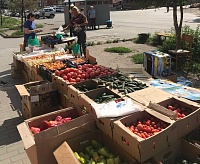 Со стихийных рынков в Тюмени изъяли более тонны фруктов и овощей