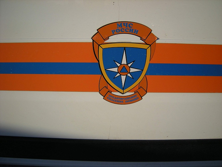 Сотрудники ТОСЭР спасали людей, удавов, лосей и даже игуану