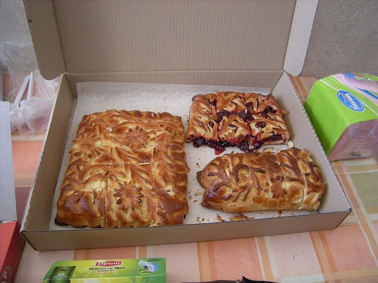 Сотрудники ТОСЭР спасали людей, удавов, лосей и даже игуану