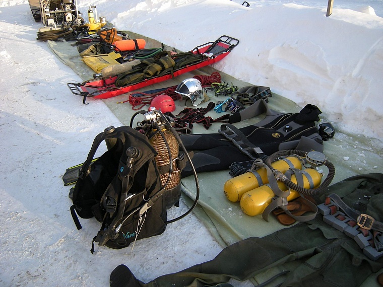 Сотрудники ТОСЭР спасали людей, удавов, лосей и даже игуану