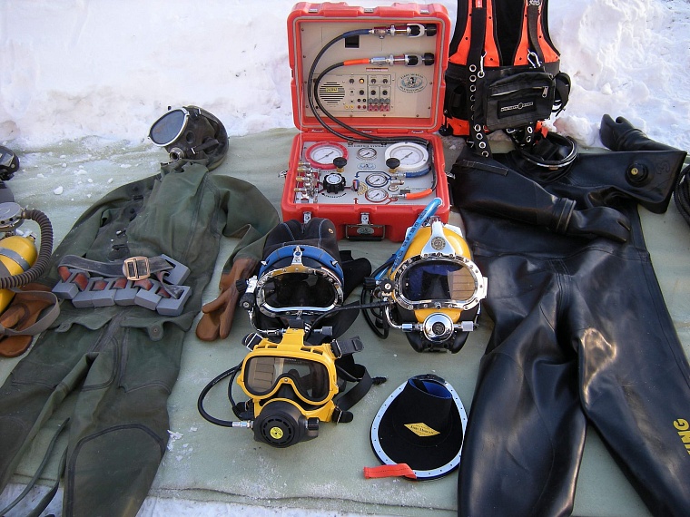 Сотрудники ТОСЭР спасали людей, удавов, лосей и даже игуану