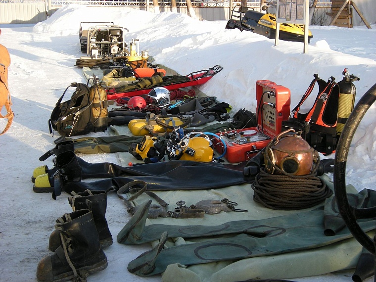 Сотрудники ТОСЭР спасали людей, удавов, лосей и даже игуану