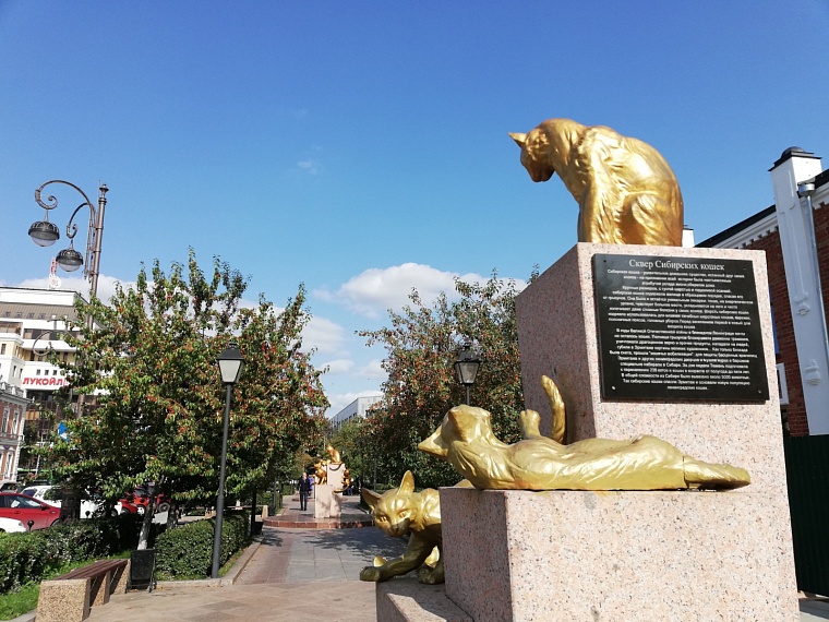 Бабье лето: в Тюмени прогнозируют потепление до +26 градусов