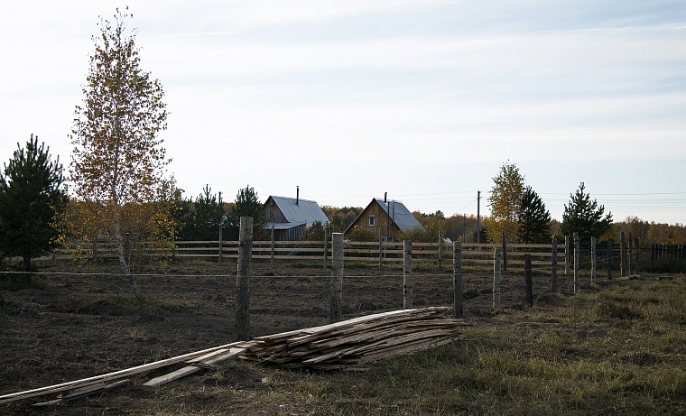 Народные приметы на 19 сентября: Михаил заморозком прихватил
