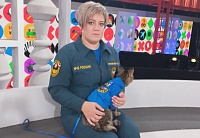 Тюменский кот-пожарный снялся в передаче на «Первом»