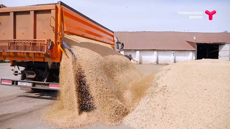 Агрохолдинг и охотничье хозяйство: чем живет Аромашевский район?