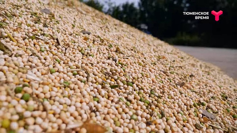 Агрохолдинг и охотничье хозяйство: чем живет Аромашевский район?