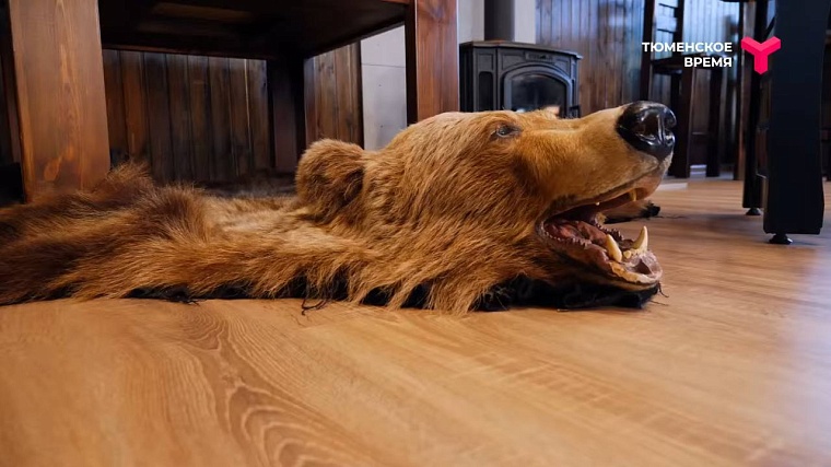 Агрохолдинг и охотничье хозяйство: чем живет Аромашевский район?