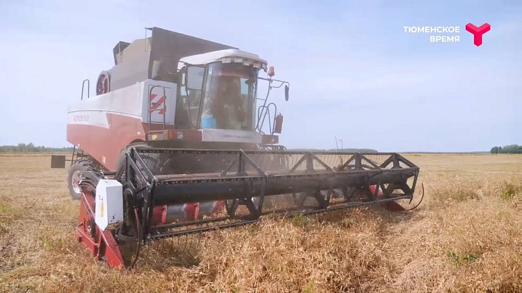 Агрохолдинг и охотничье хозяйство: чем живет Аромашевский район?