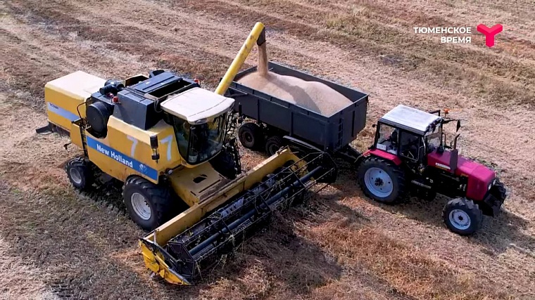 Агрохолдинг и охотничье хозяйство: чем живет Аромашевский район?