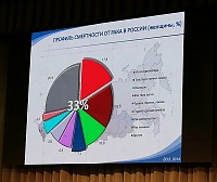 Любовь и семечки: что влияет на демографию в России