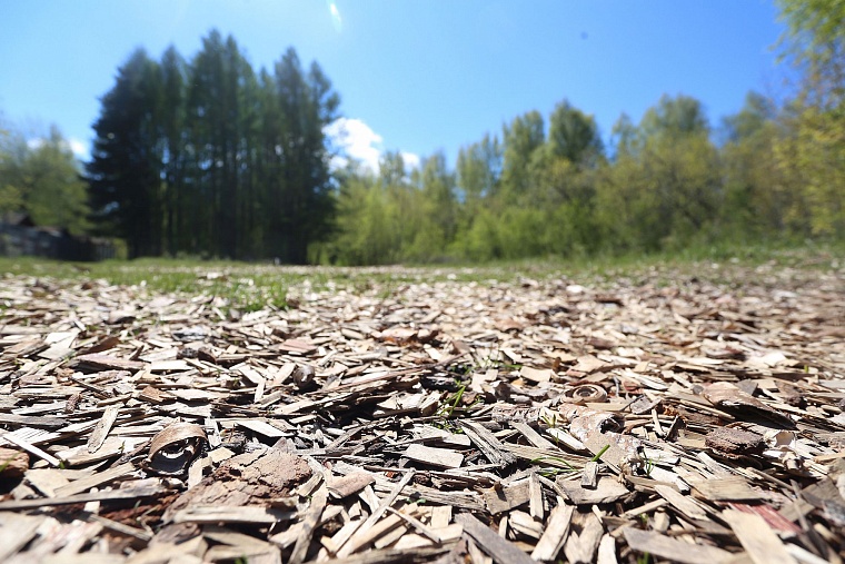 Реконструкция Затюменского парка: дорожки благоустроят, деревья не тронут