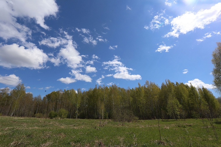 Реконструкция Затюменского парка: дорожки благоустроят, деревья не тронут