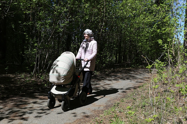Реконструкция Затюменского парка: дорожки благоустроят, деревья не тронут