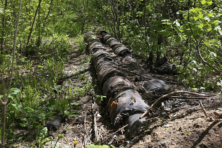 Реконструкция Затюменского парка: дорожки благоустроят, деревья не тронут