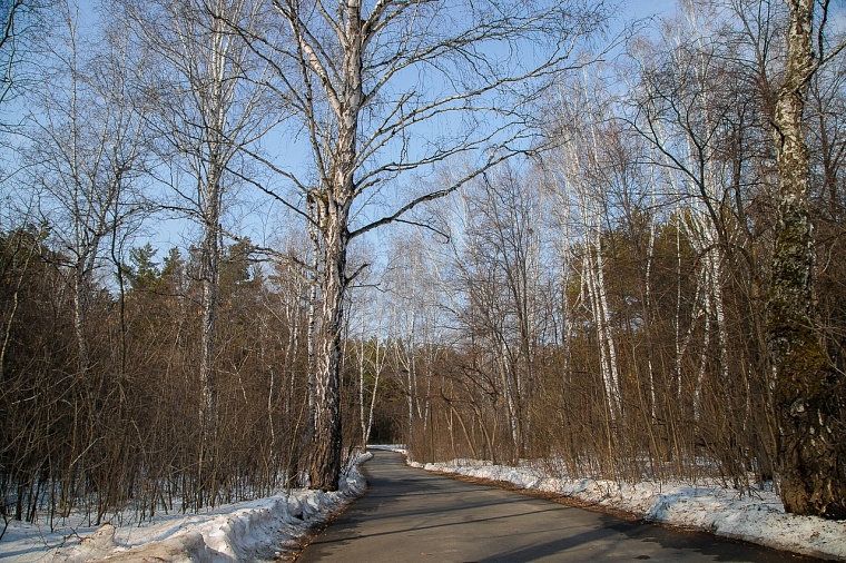 Народные приметы: задолбил зиму Василий Капельник