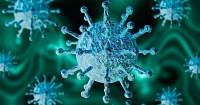 В Тюменской области за сутки выявлен 71 случай коронавирусной инфекции