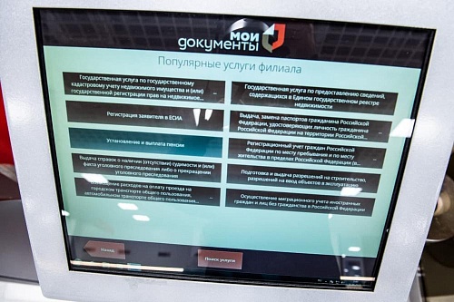 Тюменцы могут получить 66 видов госуслуг через региональный портал