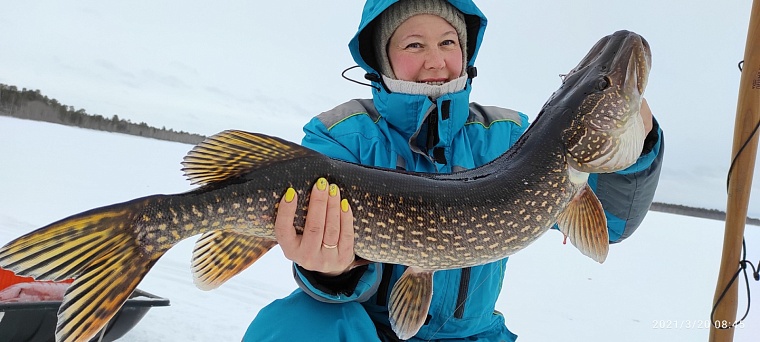 Как семья урайских блогеров собирает миллионные просмотры на трофейной рыбалке