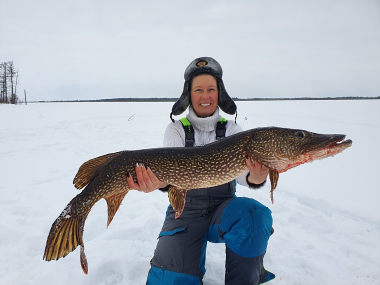 Как семья урайских блогеров собирает миллионные просмотры на трофейной рыбалке