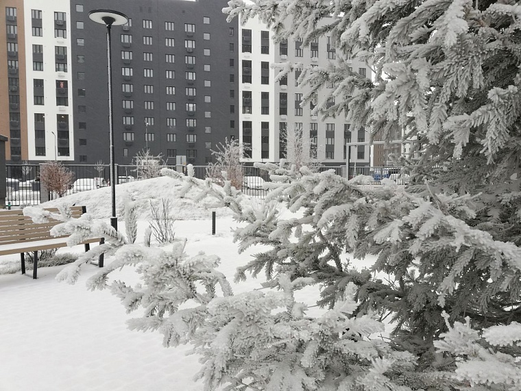 Как встречать 2024 год Дракона: цвета и предметы, которые принесут удачу