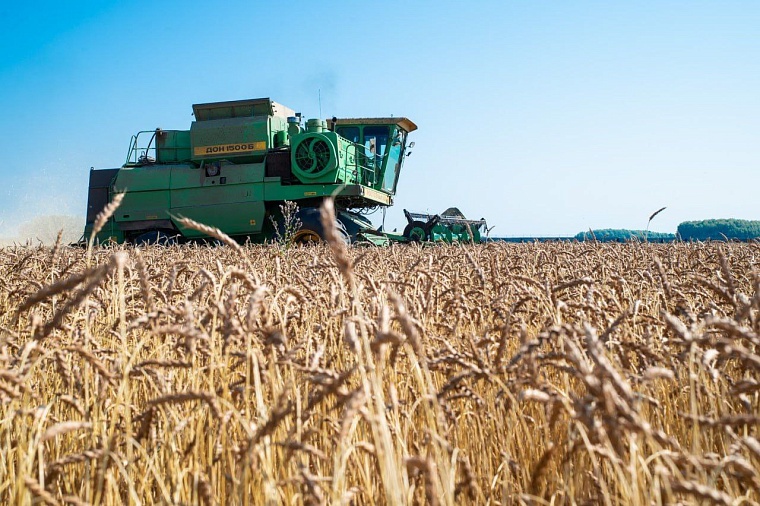 Тюменские аграрии собрали миллион тонн зерна