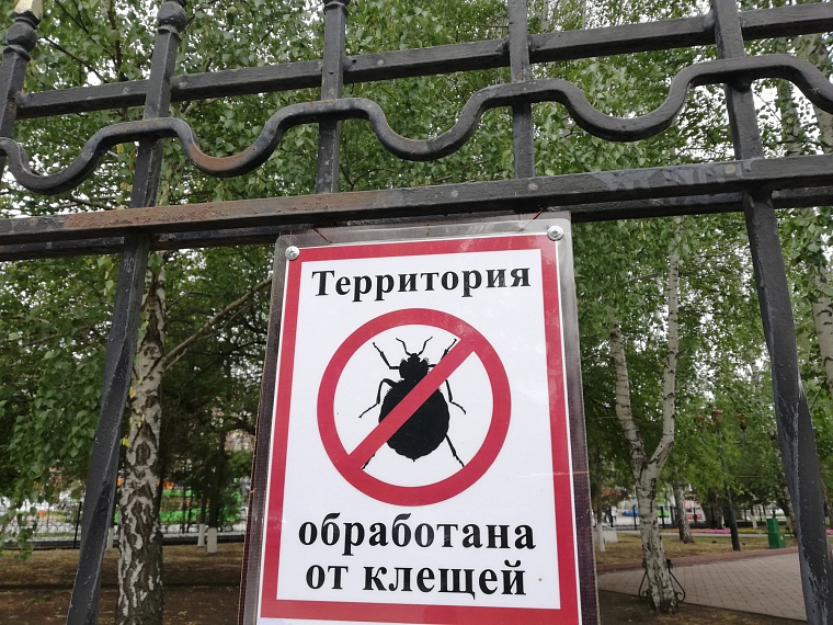 В Тюменской области насчитывается больше 12 тыс. пострадавших от клещей, каждый шестой – ребенок