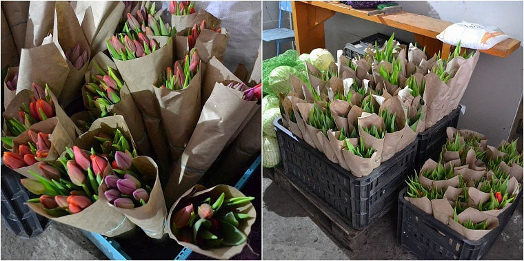 Где в Тюмени купить тепличные тюльпаны к 8 Марта