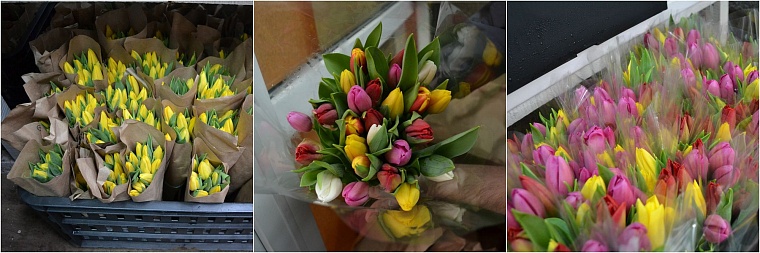 Где в Тюмени купить тепличные тюльпаны к 8 Марта