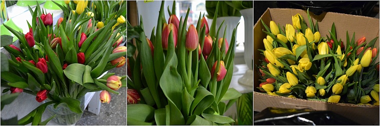 Где в Тюмени купить тепличные тюльпаны к 8 Марта