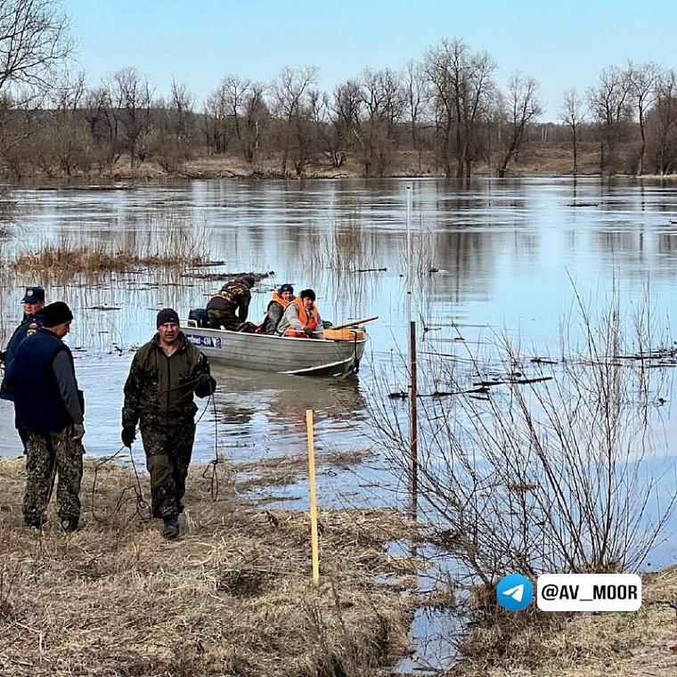 Оперативная информация на 26 апреля: в Абатском река Ишим поднялась до 1175 сантиметров