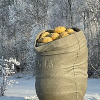 В Упорово Тюменской области поставили памятник картошке