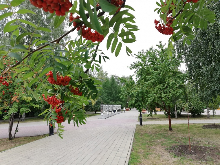 В Тюмени прогнозируют резкое похолодание и дожди