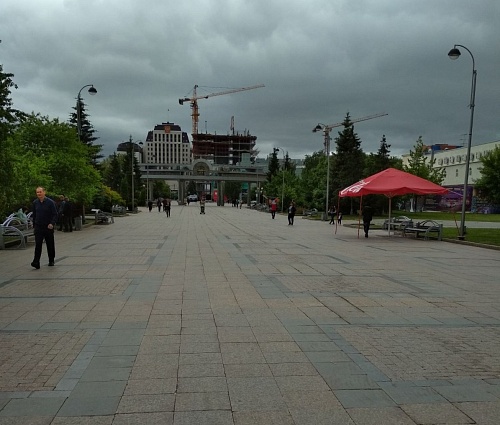 Тюмень - не пастбище: Цветной бульвар очистили от лошадей