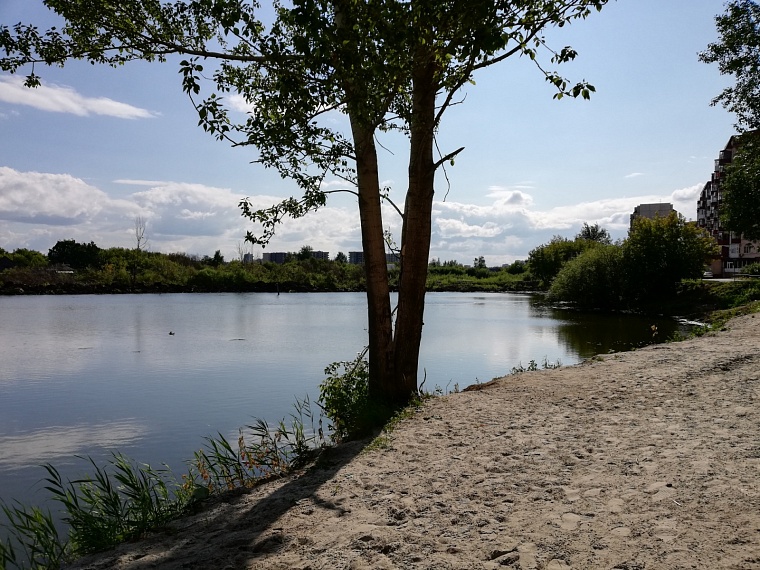 В Тюмени обработают 10 водоемов против комаров и клещей