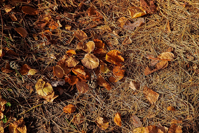 Жители деревни Оськина сами обустроили парк